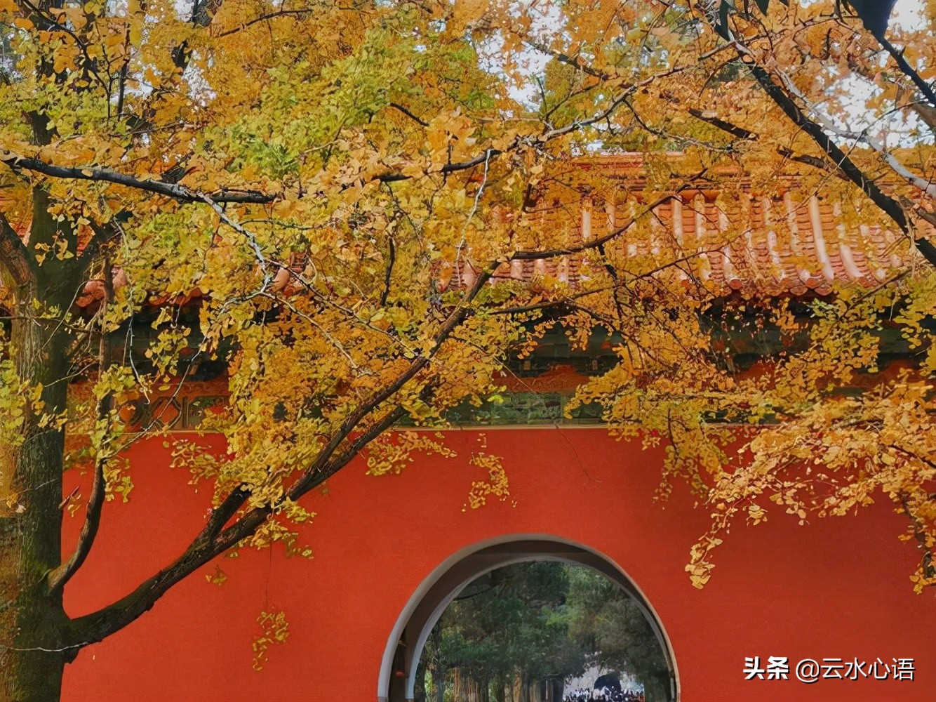 杨万里病愈后创作的两首诗，劳心苦吟，让人赞赏不已