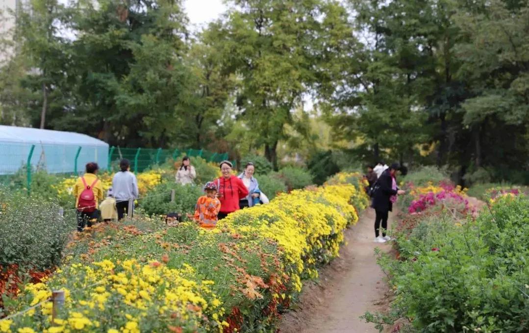 白银市党代会报告全文,白银区第十五届人代会