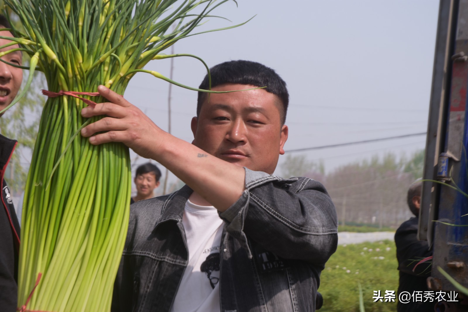 农村农场创业可以做什么,想回农村种植养殖创业怎么办