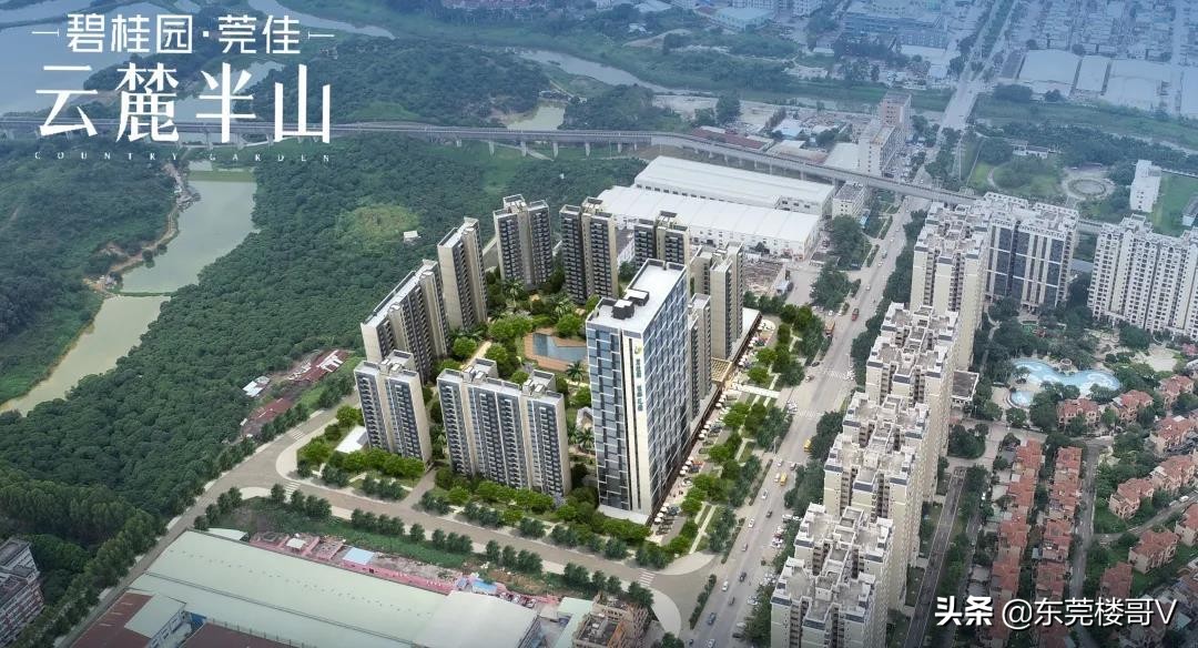 楼哥踩盘,塘厦林村春晖国际楼盘