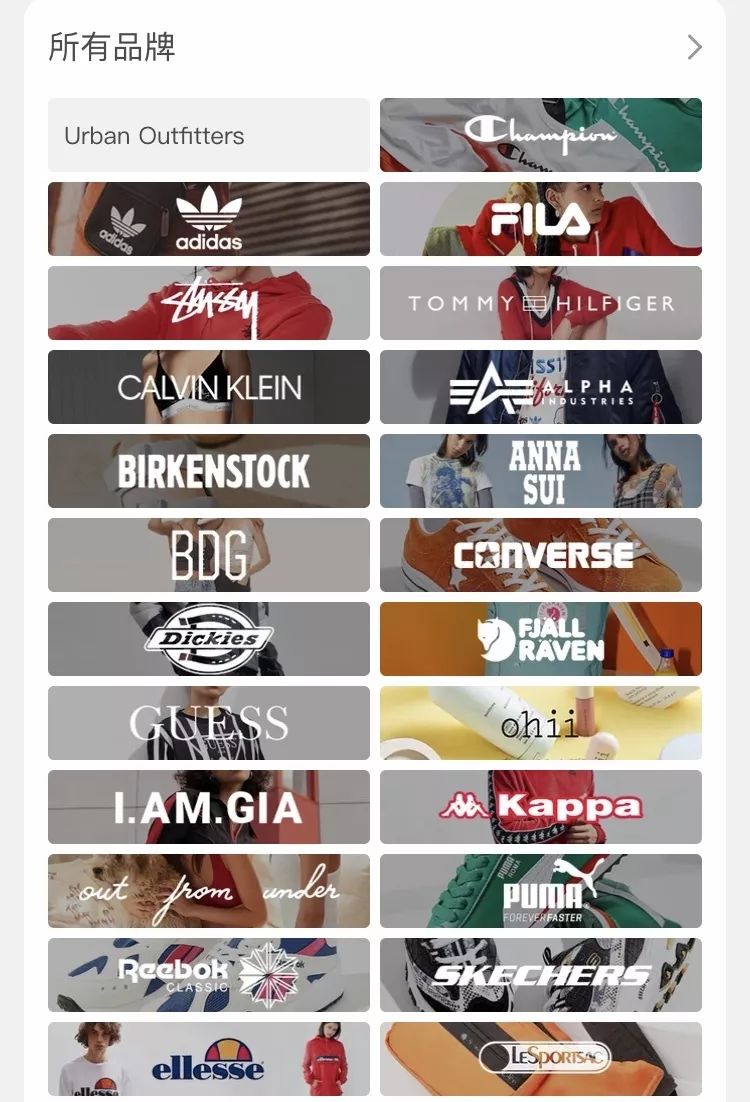 娱乐圈的小花有哪些,娱乐圈里的小花