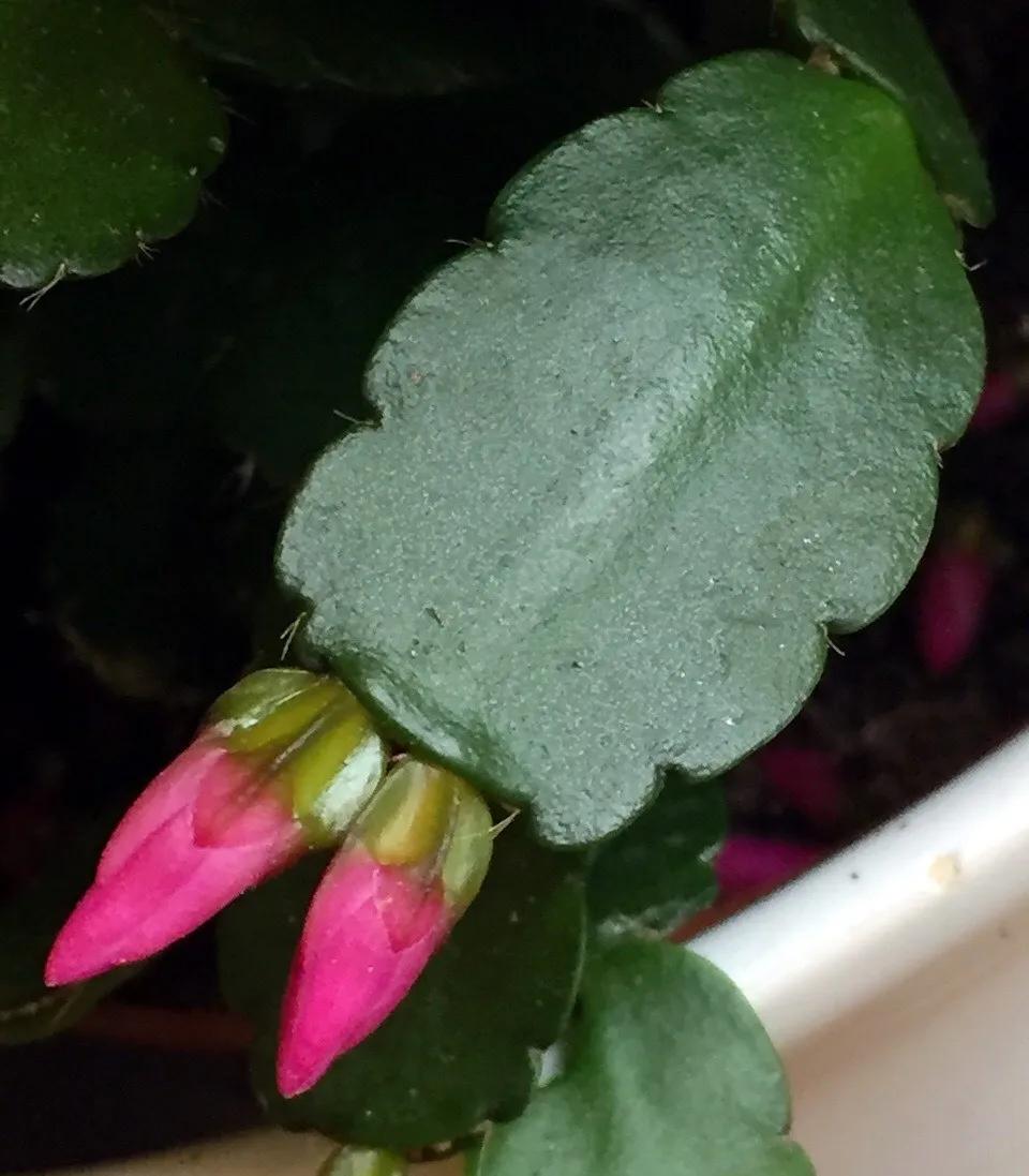 教你如何避开假货买到真品,一张图告诉你怎样分辨假货