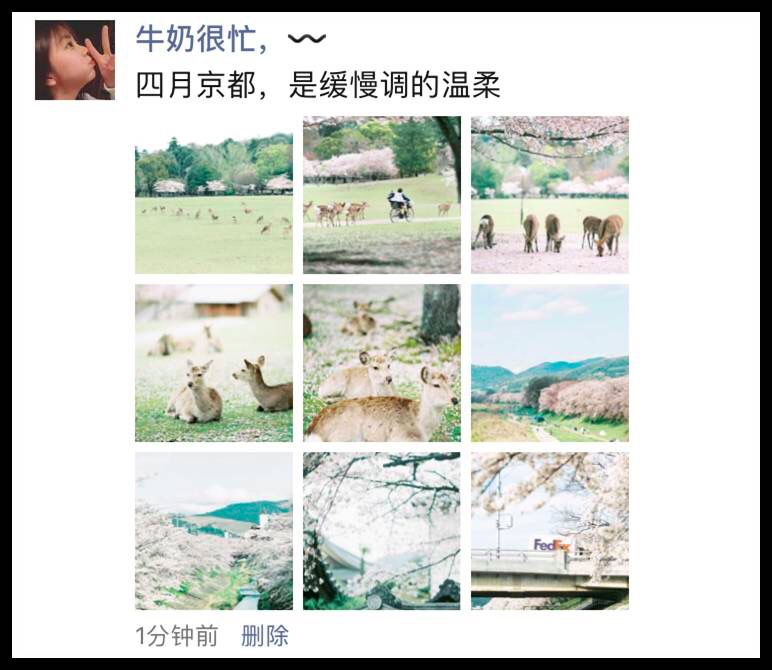 发朋友圈怎么才能火爆,怎么发朋友圈人气高