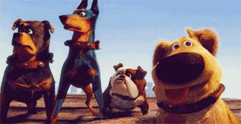 有没有因打狂犬疫苗死亡,因没打狂犬疫苗有死亡的吗