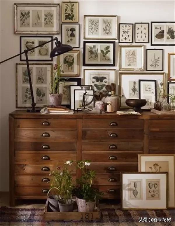 植物标本如何做简单又好看,植物能做什么手工