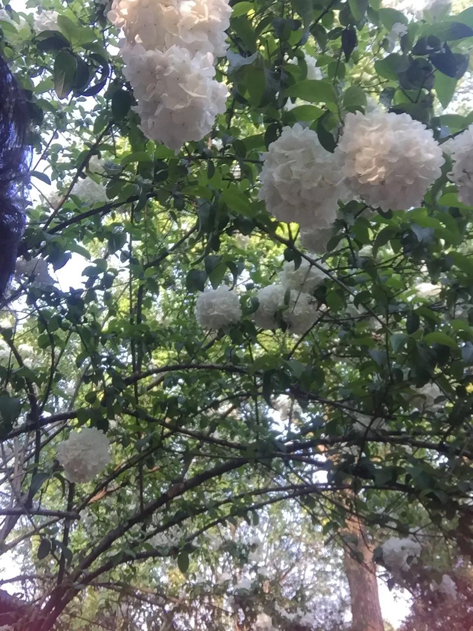 睡不着又来一篇呵呵，不写情不写爱，写点雅的不香吗？哈哈