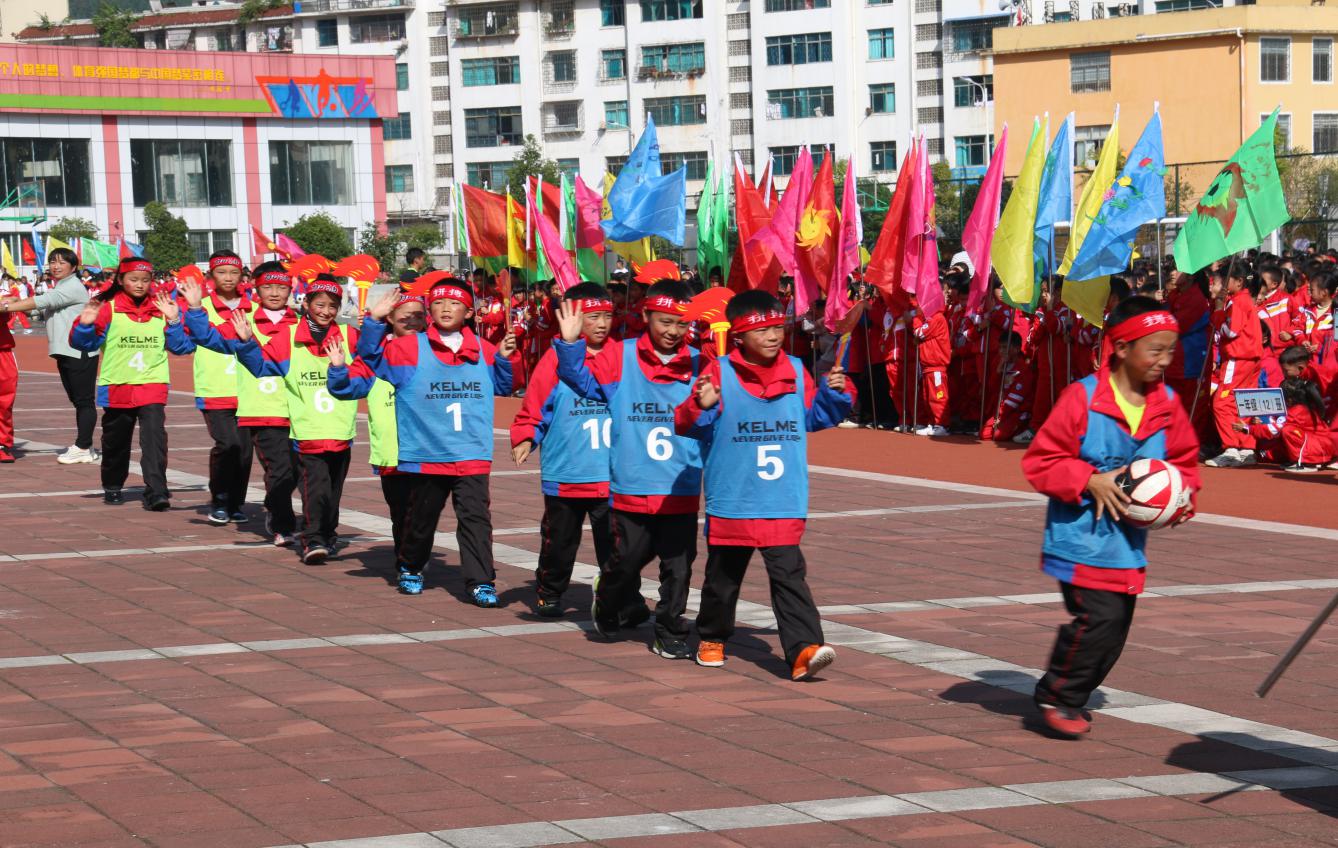 体育运动培养意志品质,体育活动全面提升幼儿的身体素质