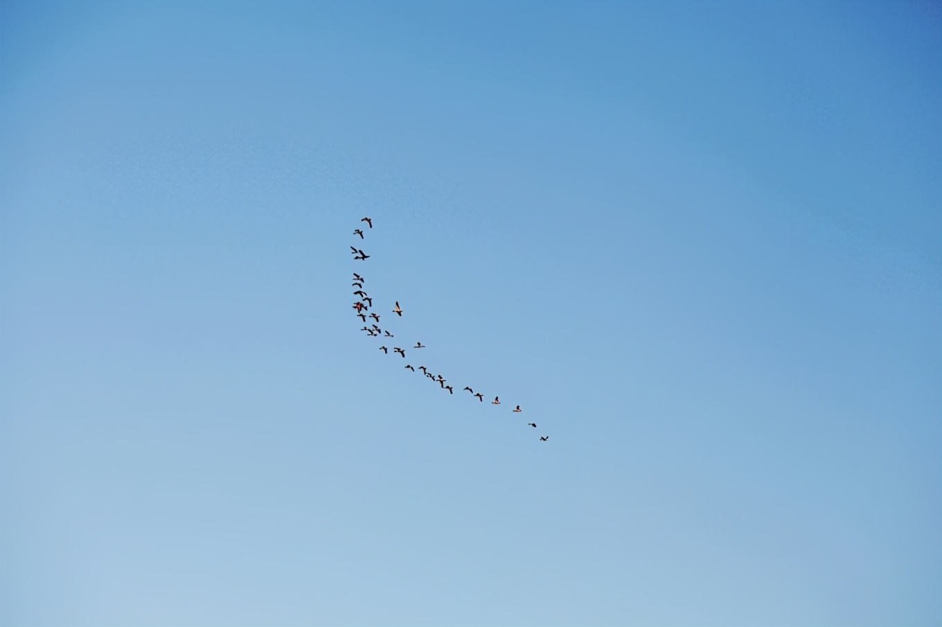 突尼斯｜一个微笑，一句“salam”，我为你动容（1）