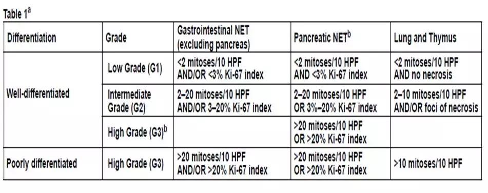 直肠神经内分泌肿瘤分级和治疗,直肠神经内分泌肿瘤到底是不是癌