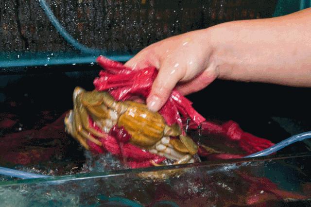 龙岩海鲜粥推荐,尝鲜海鲜粥套餐优惠团购