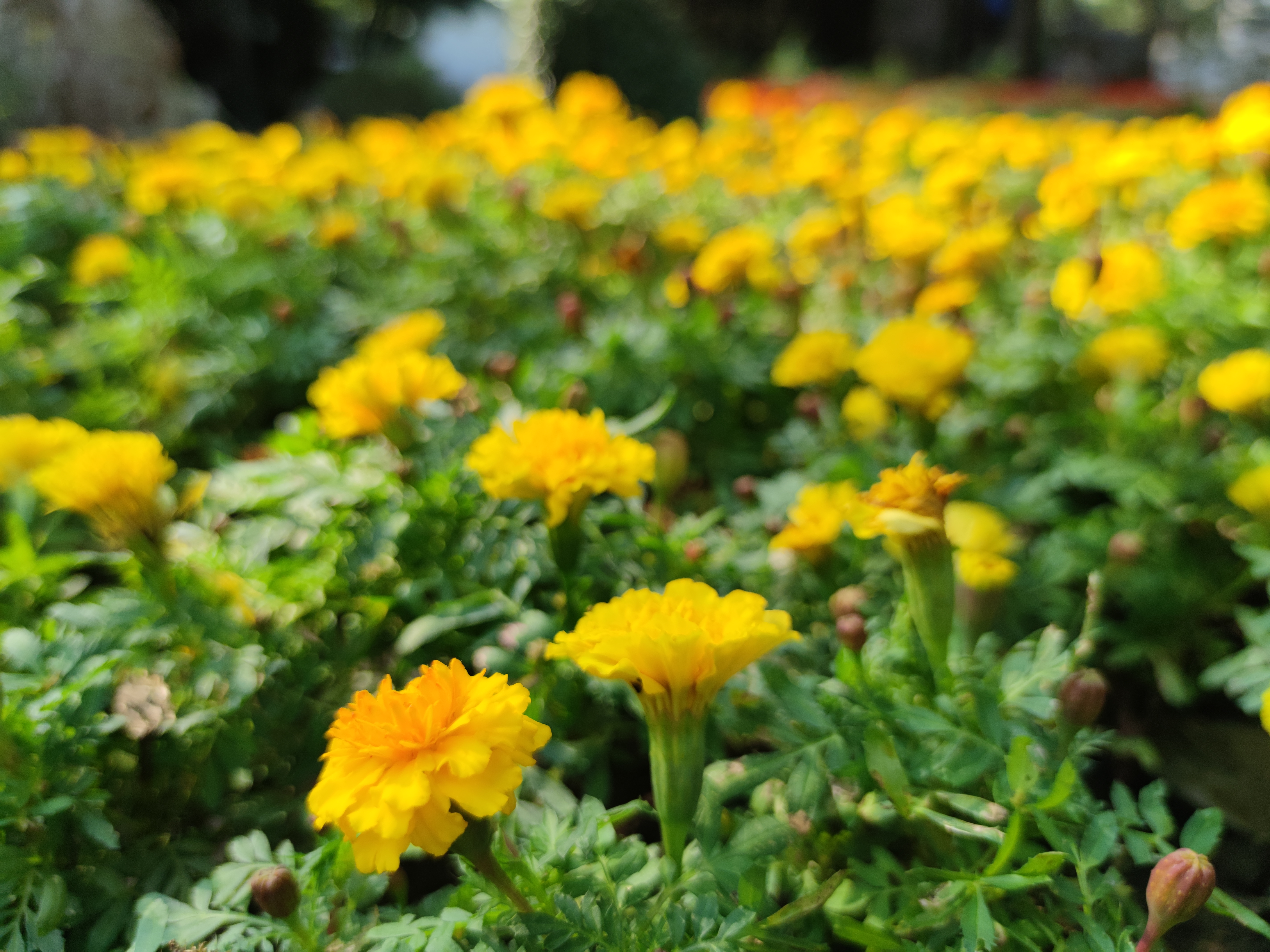 古人对扬州的评价,古代对扬州的评价