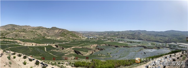 短视频丨【决战决胜脱贫攻坚】通渭李家店乡：脱贫致富的“黄金”产业——金银花