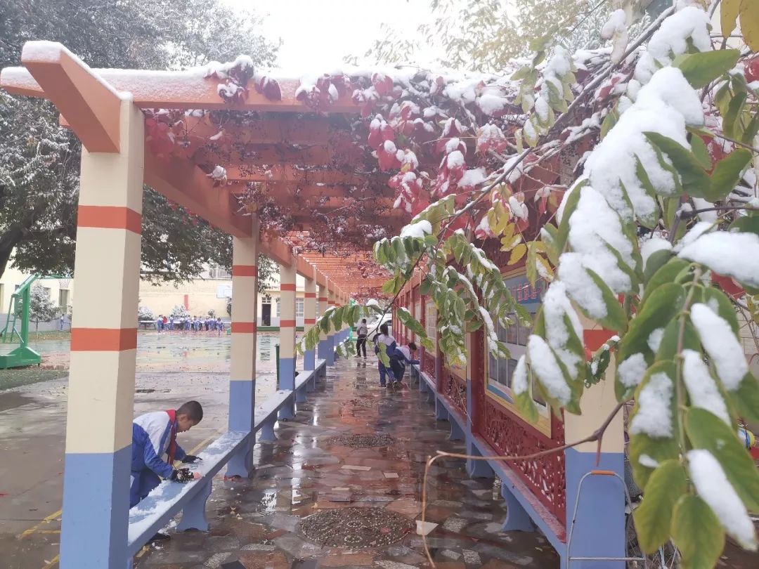 美丽校园我的家完整版,美丽校园我的家