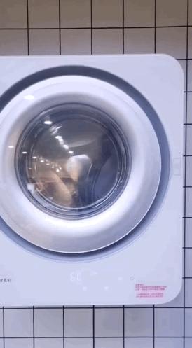 壁挂洗衣机购买注意事项,壁挂洗衣机该怎么选