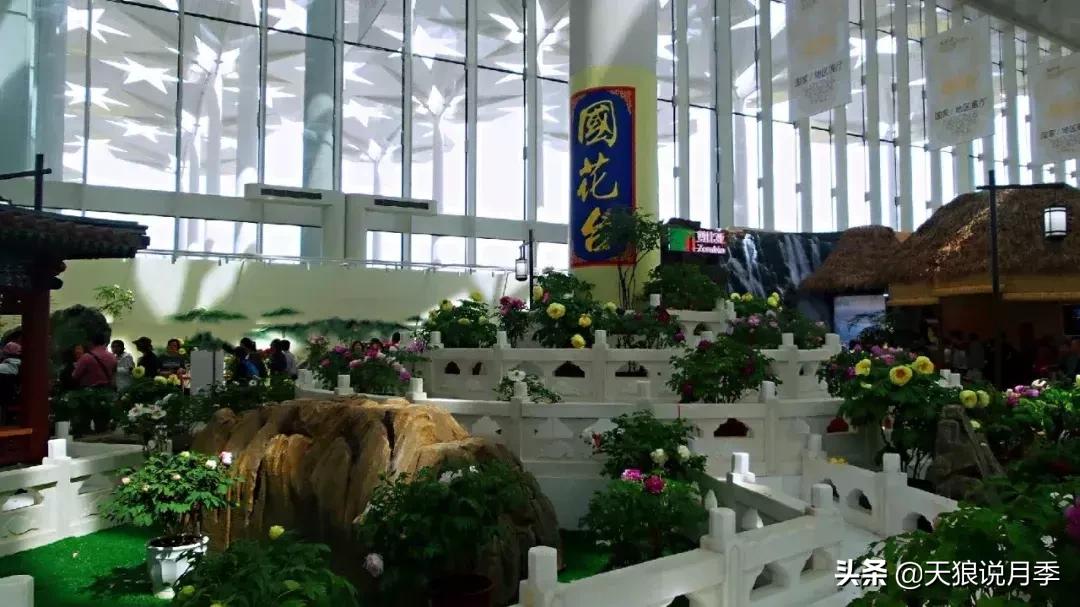 有人去过世园会吗,去过世园会