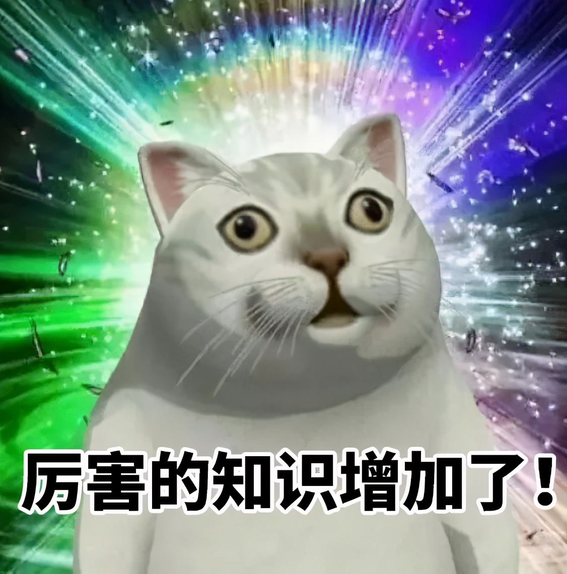 外省旅游团探秘广西巴马长寿之旅,巴马旅游探索巴马的奇妙之旅