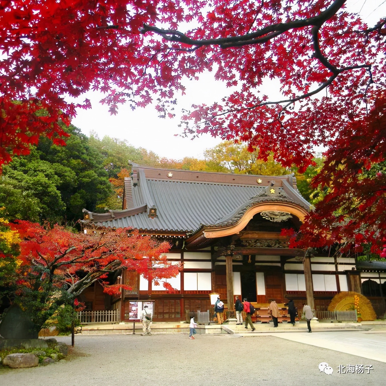 中国气候宜居城市2021,2021亚洲最宜居城市