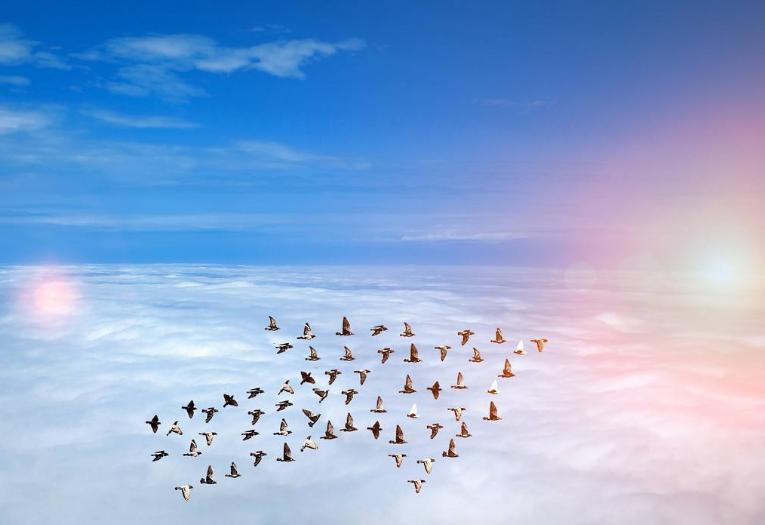 处女座男生知道女友有人追求,如何知道处女座男生爱上自己