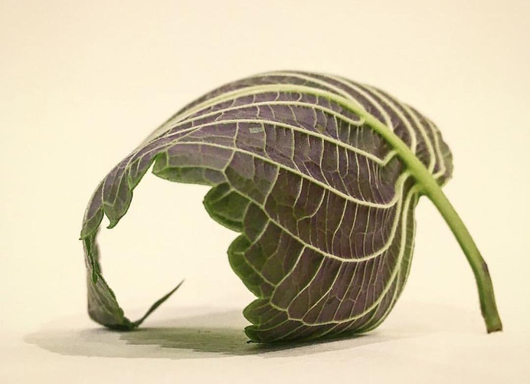 疫情期间螃蟹应该怎么吃,疫情吃螃蟹好吗