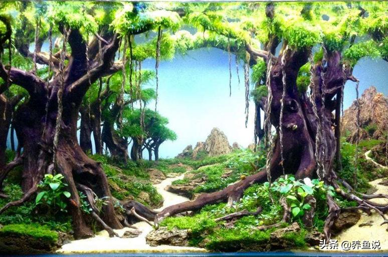 沉木杜鹃根,沉木杜鹃根介绍