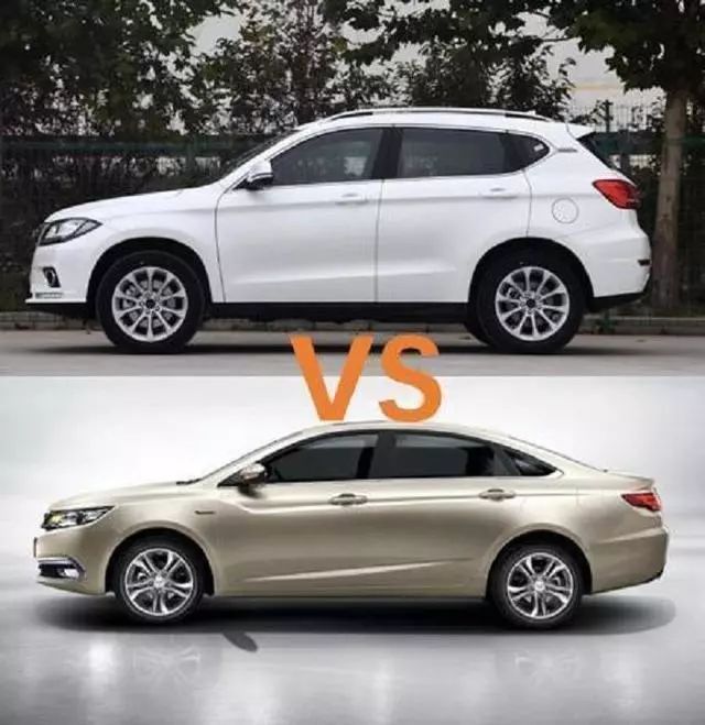 前方有动物横穿可以采取紧急避让,遇到猛兽可以开车直接撞吗