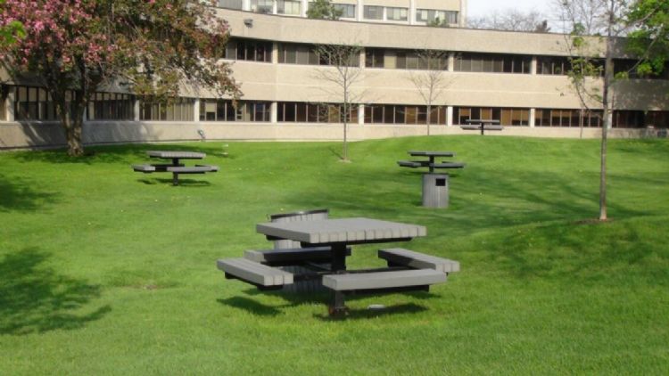 加拿大温哥华最省钱的方法 (去加拿大怎么省钱买机票)