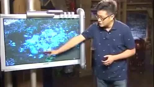 被人视为神物舔食的“天上蓝冰”，其实是飞机侧漏的排泄物