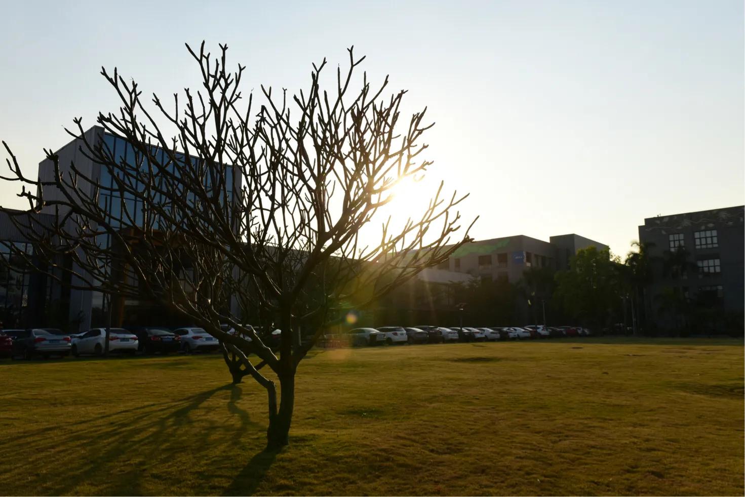 缇庣殑鍏ㄧ悆鍒涙柊涓績涓婄彮鏃堕棿,缇庣殑鍏ㄧ悆鍒涙柊涓績