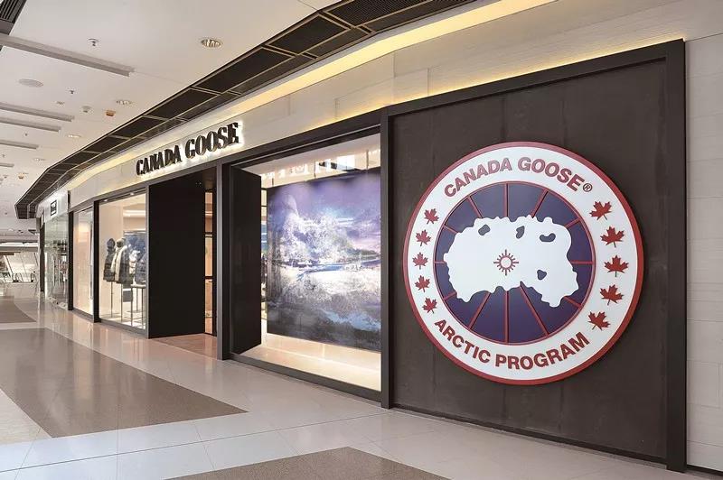 十件大鹅九件假,十件大鹅九件假四招教你辨真假