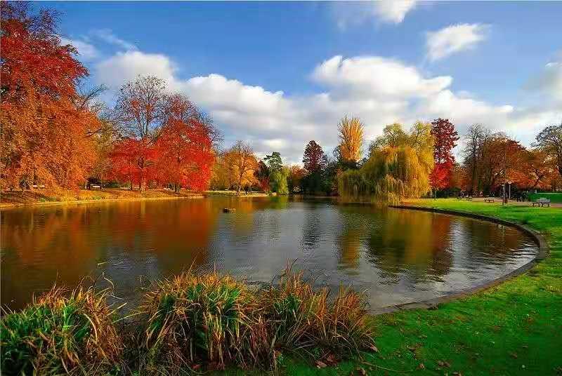 论语人生价值观的句子,论语富贵的经典语录