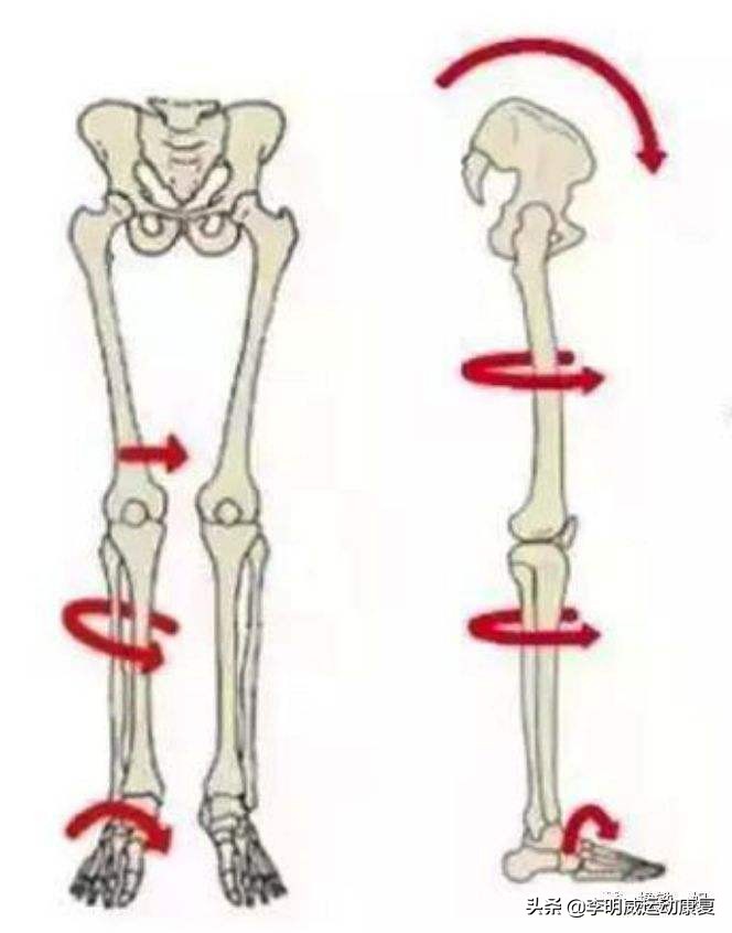 提踵怎么既练习弹跳又瘦小腿,如何瘦小腿的运动方法
