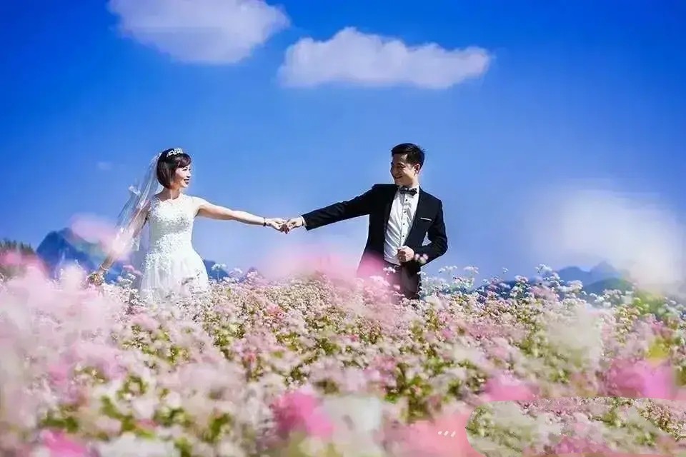 心笺完整版,心笺完整版原唱