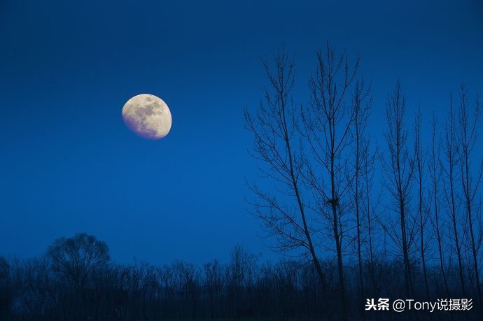 怎样拍摄月亮最好看,如何拍大月亮与实景