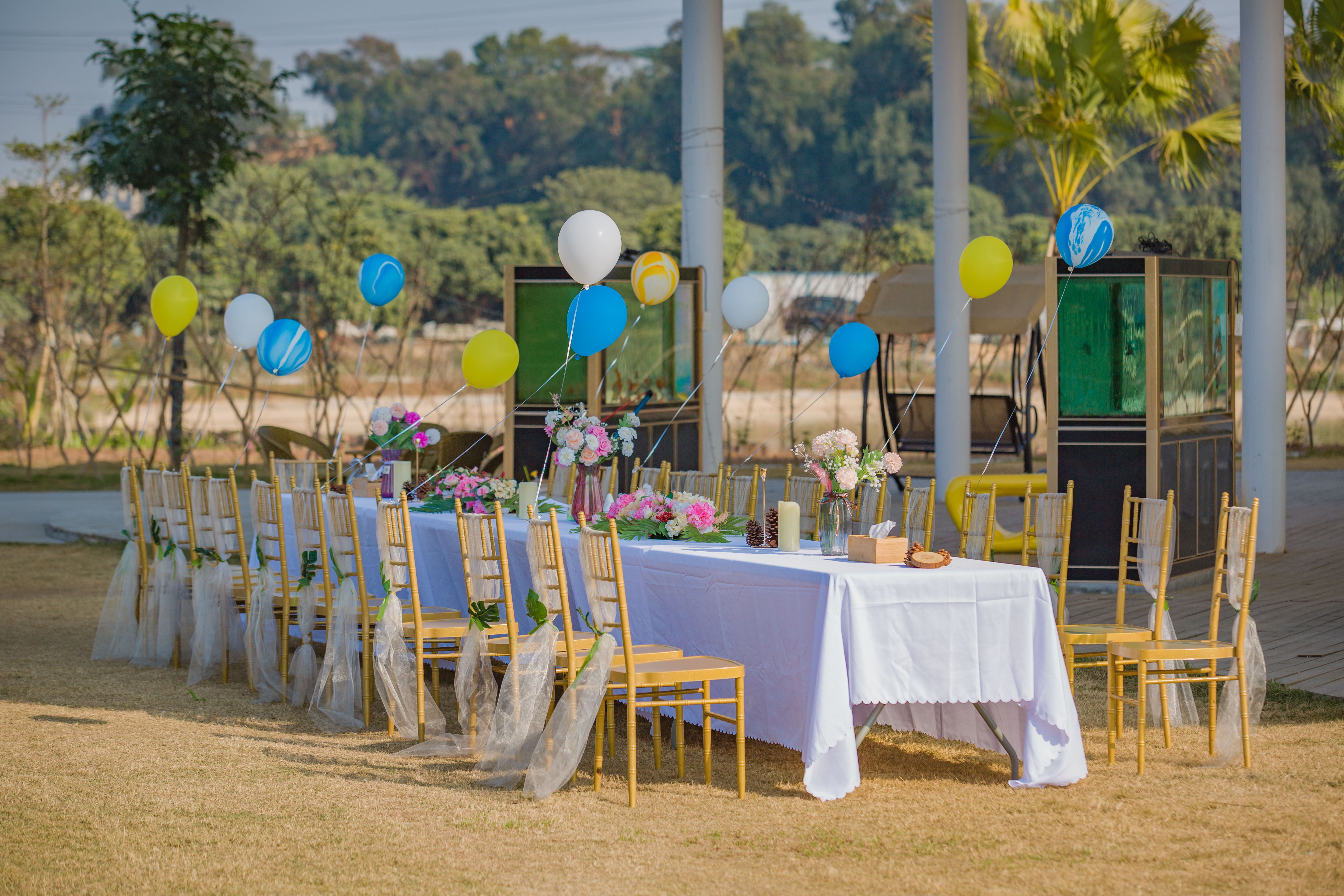 种草种草！东莞市区内竟然隐藏了天空之境