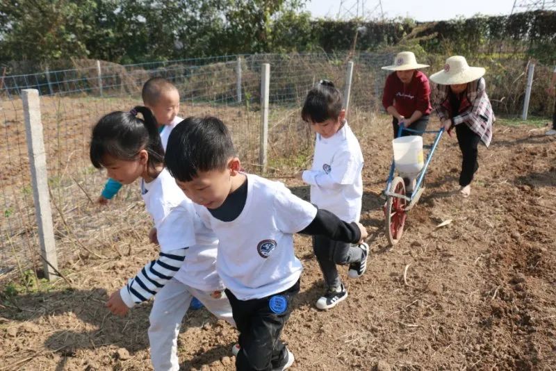 劳动课教学新思路新方法,如何设计一堂有特色的劳动课