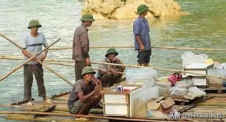 越南的奇闻奇事,越南趣闻