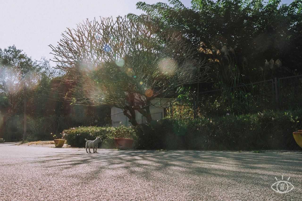 深圳各区最美的地方,深圳6个绝美地方