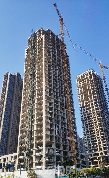 利嘉集团董事长陈隆基有几个兄弟,利嘉集团董事长陈隆基福清哪里人