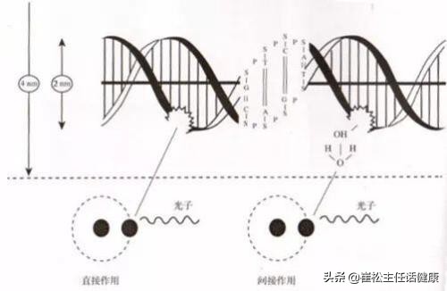 放疗的射线是怎么治疗癌的,放疗射线是治癌还是致癌