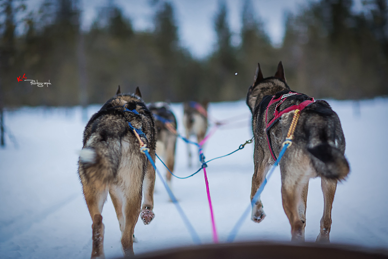 果小姐的慢生活之冰雪奇缘