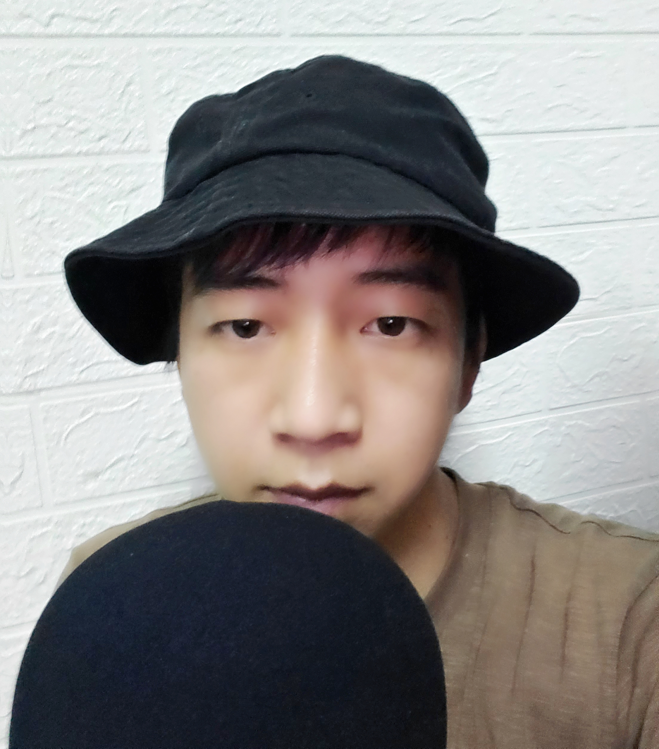 jbl麦克风kmc600和唱吧小巨蛋,唱吧小巨蛋g2max麦克风值得入手吗