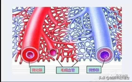 科学家发现量子穿梭效应,科学家发现引力波源