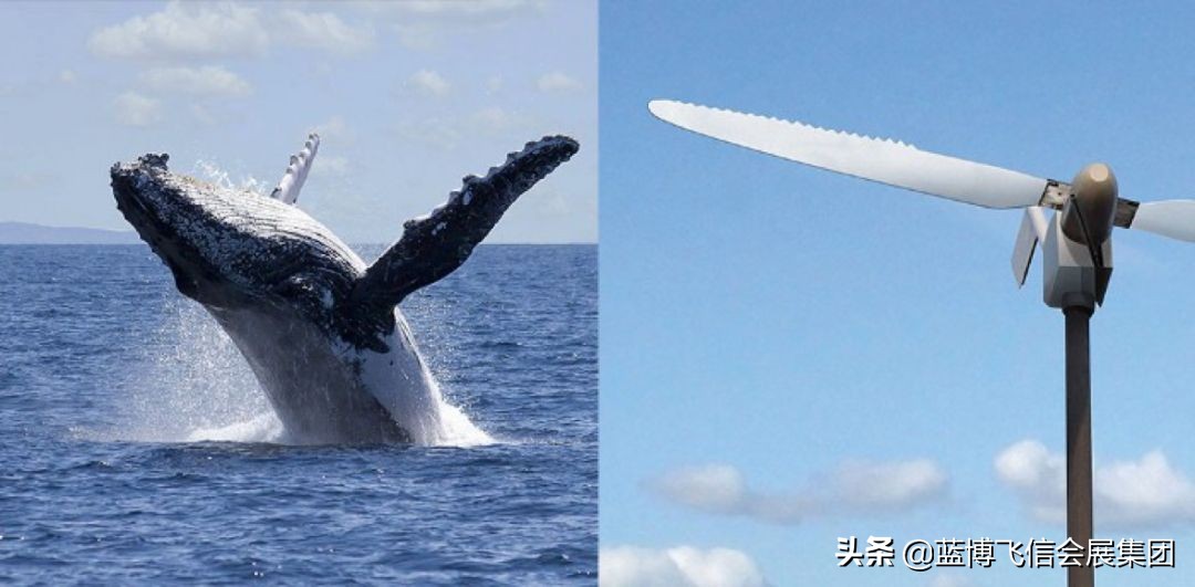 做设计都要会什么,设计时重要的事