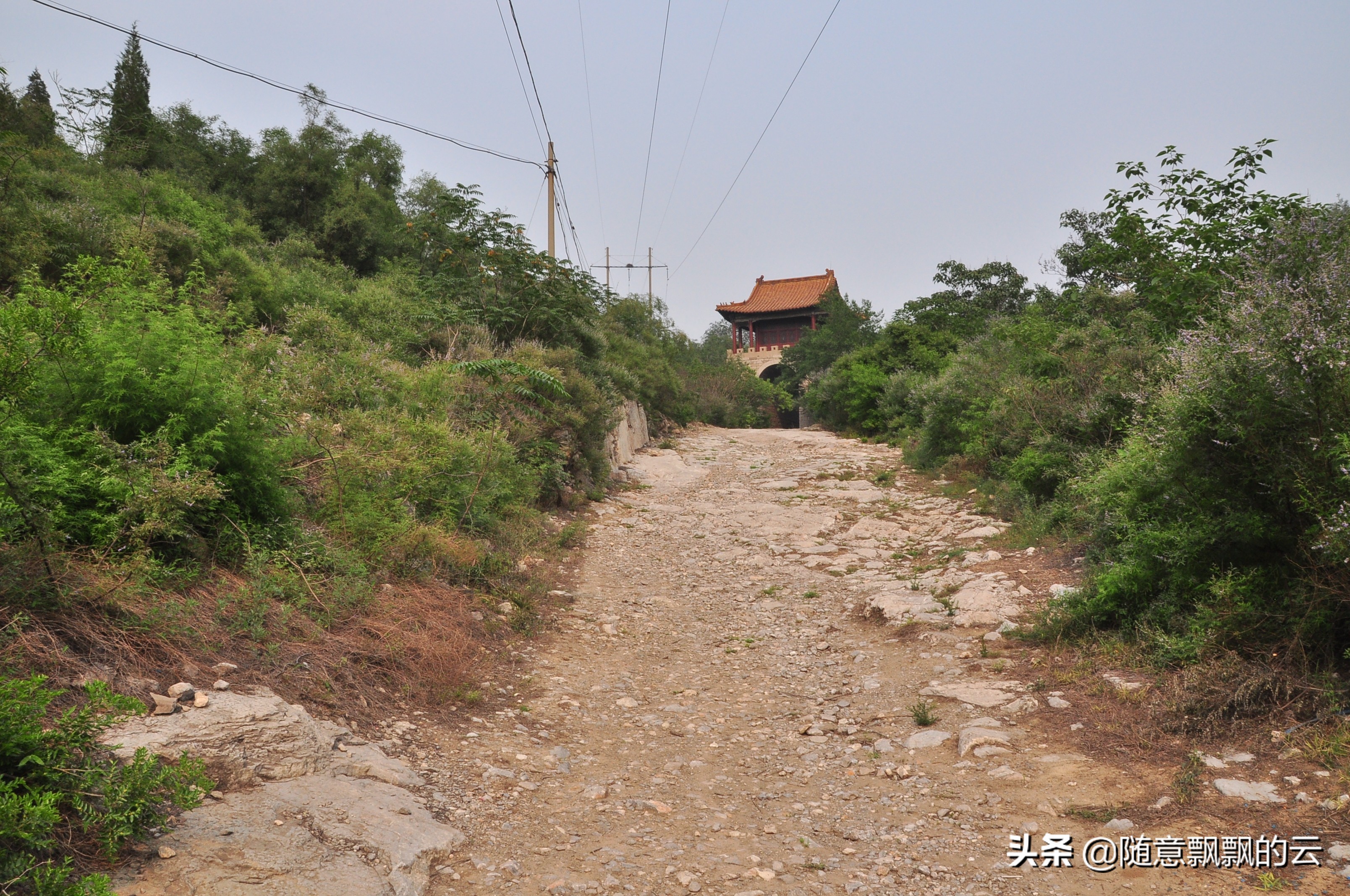 绉︾殗鍙ら亾鍗冨勾娌ф,绉︾殗鍙ら亾涓婄殑鍗冨勾鍙ゆˉ