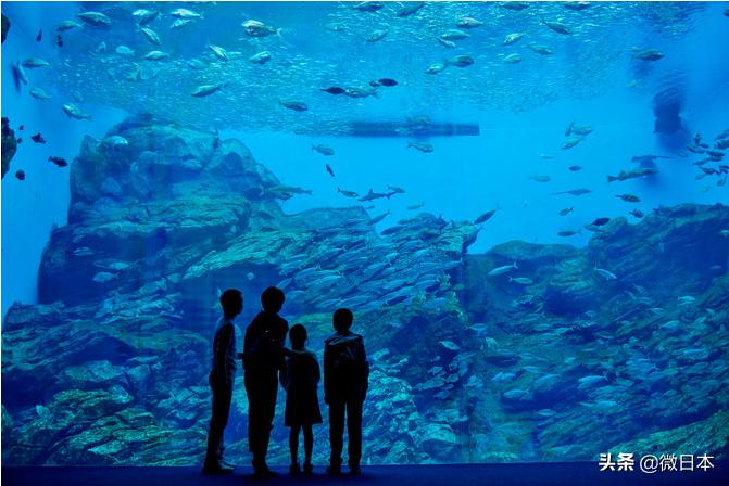 日本关东地区攻略,日本东北要塞游玩