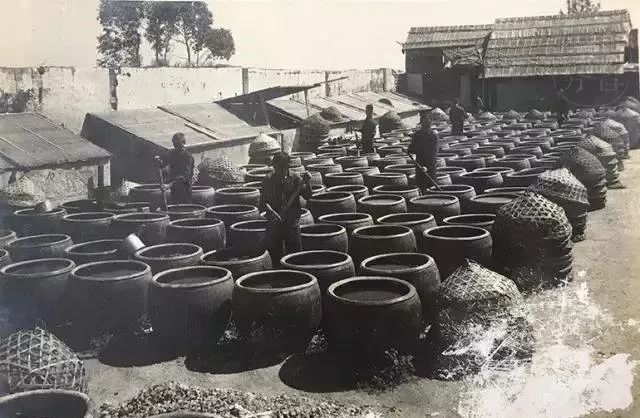 鱼露有多美味,鱼露正宗味道