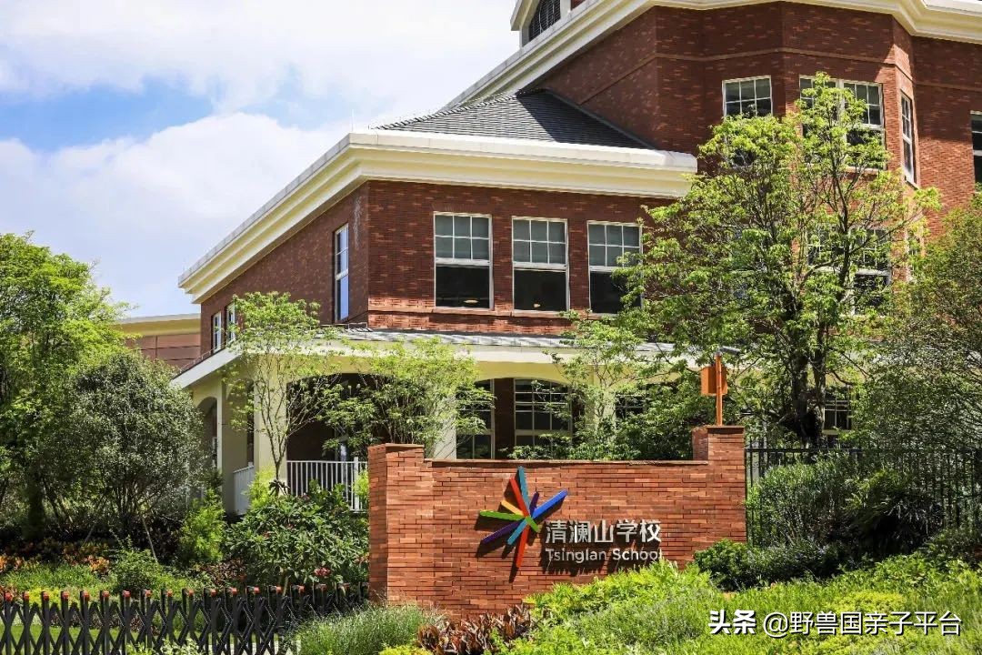 一年20万学费的清澜山学校,都在学些什么?