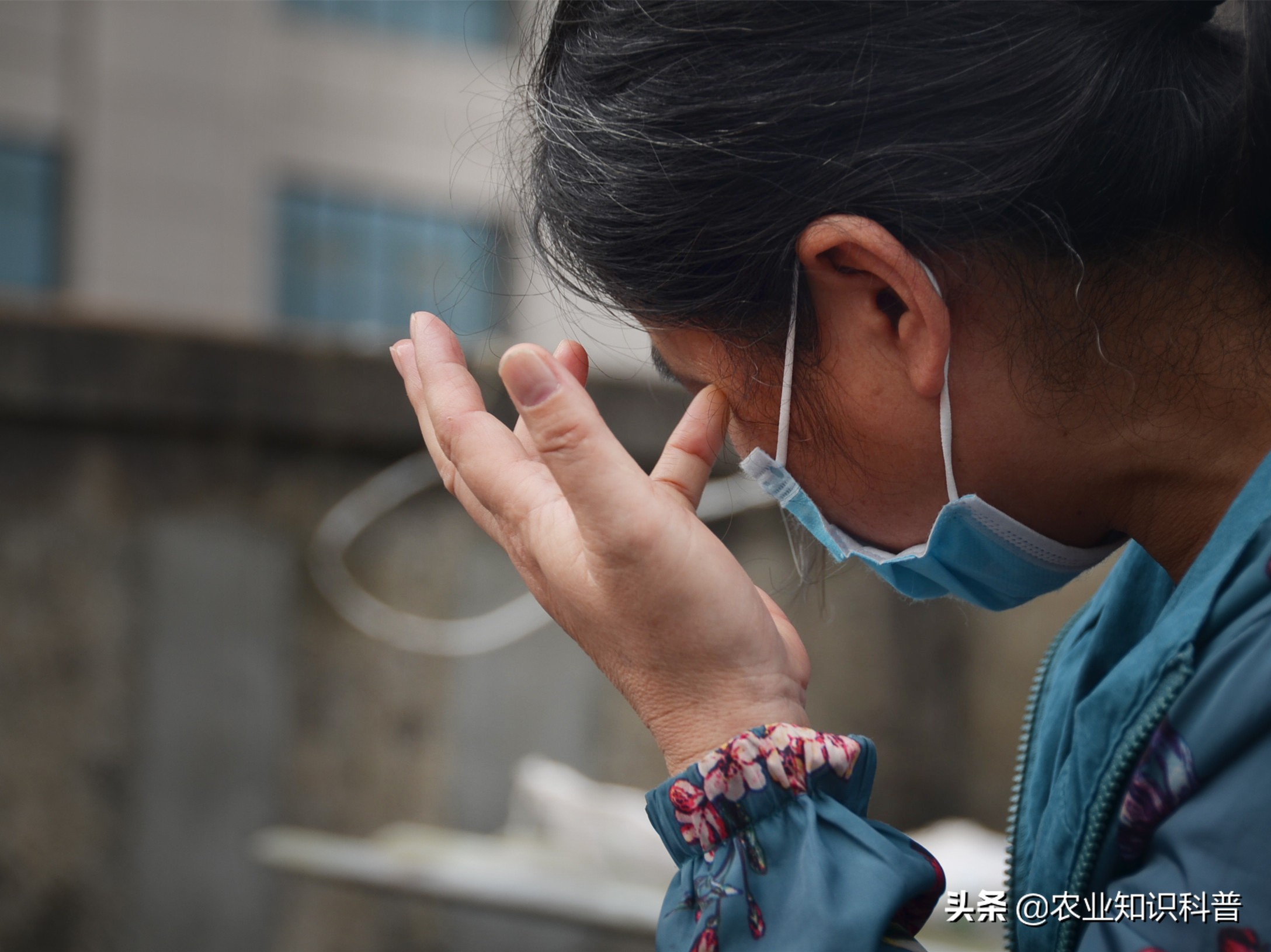 5岁男宝反复发烧39度隔十天又烧,5岁男童反复高烧39.3度怎么办