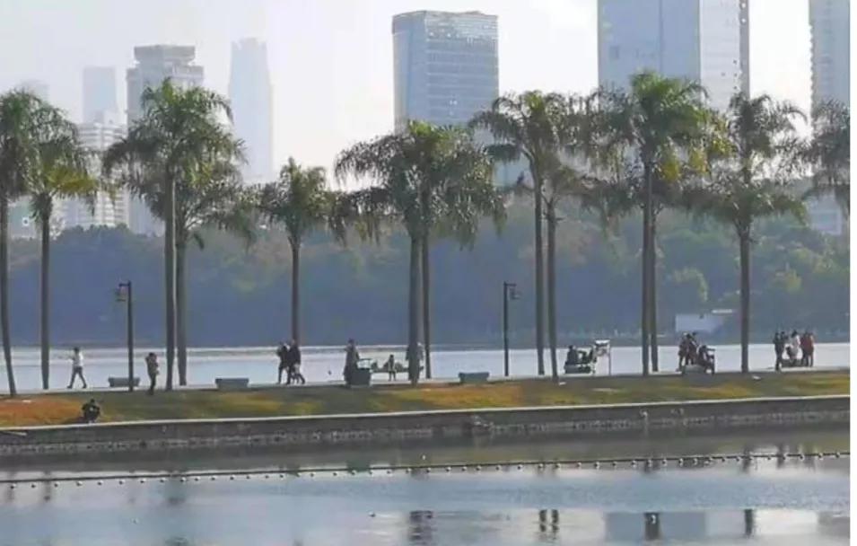 让脚丫干燥的办法,怎么保持脚丫干爽