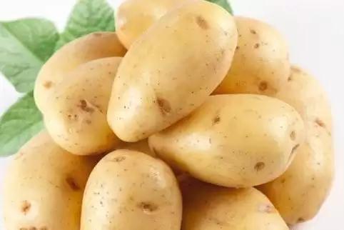 你真的了解猹吗,你对土豆了解多少